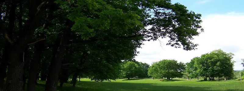 ��Ӱ����ͼ-������