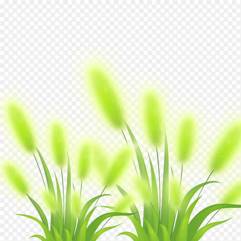 �̲�-������