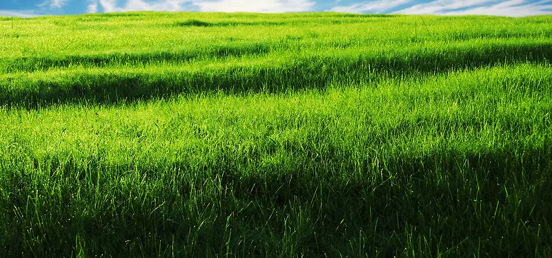 ��Ӱ����-������