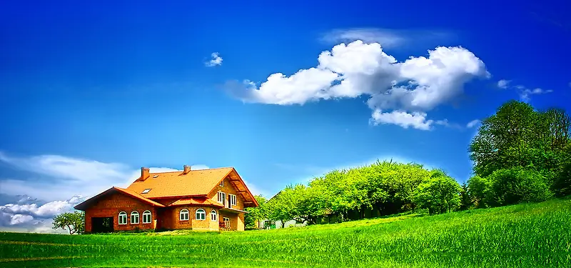 ��Ӱ����-������