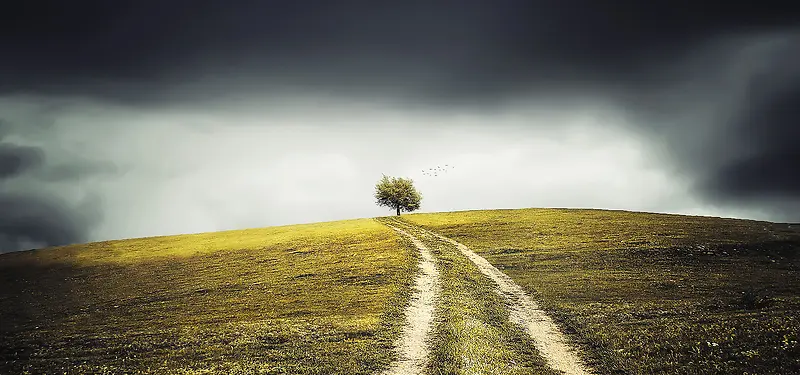 ��Ӱ����-������