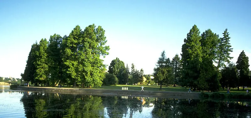 ��Ӱ����-������