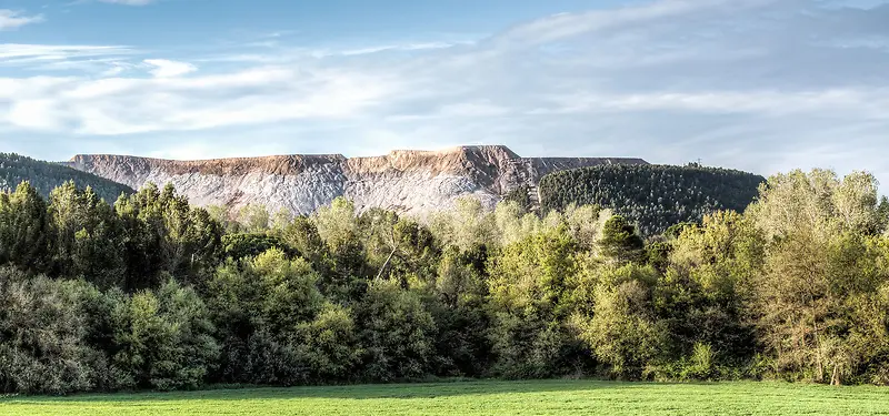 ��Ӱ����-������