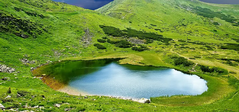 ��Ӱ����-������