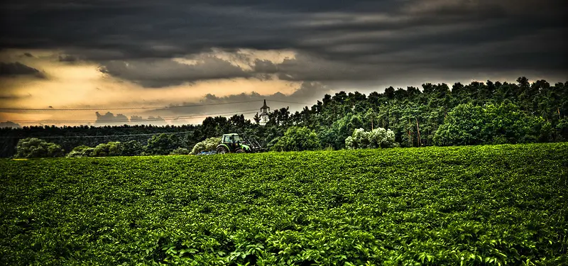 ��Ӱ����-������