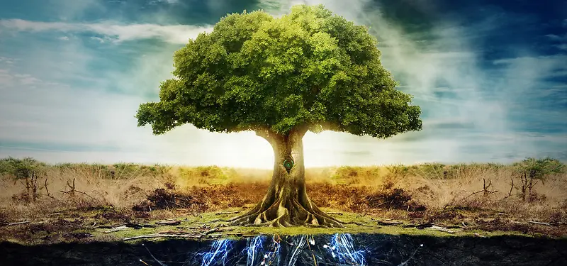 ��Ӱ����-������