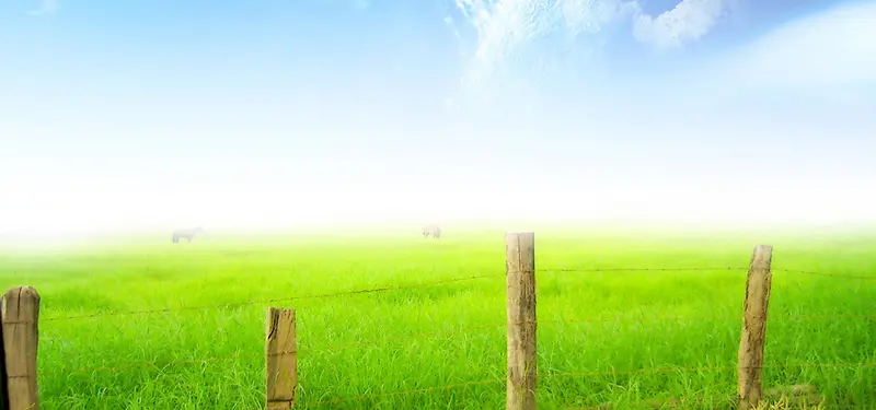 ��Ӱ����-������