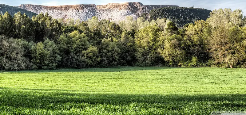 �ݵ���Ӱ����-������