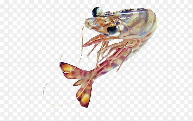 Ϻз�ز�ʵ���������-������