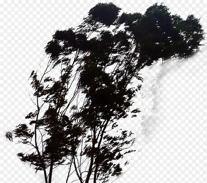 ��-������