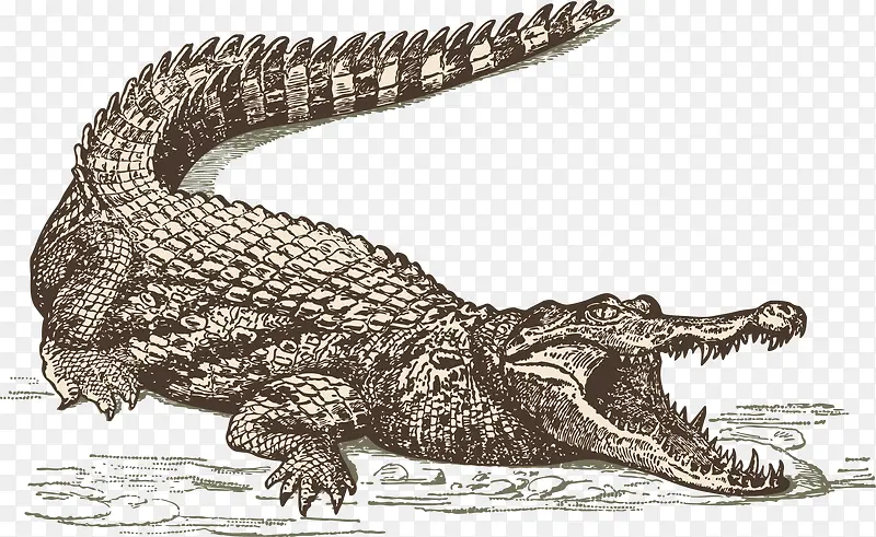 ����-������