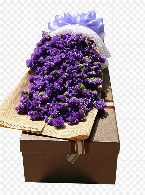 ��ɫ޹�²�Ӣ�ı���װ-������