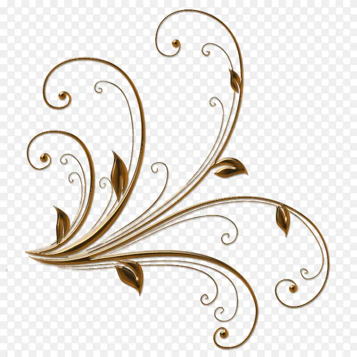 ��֦����װ��-������