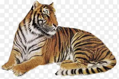 �ϻ�png�ز�-������