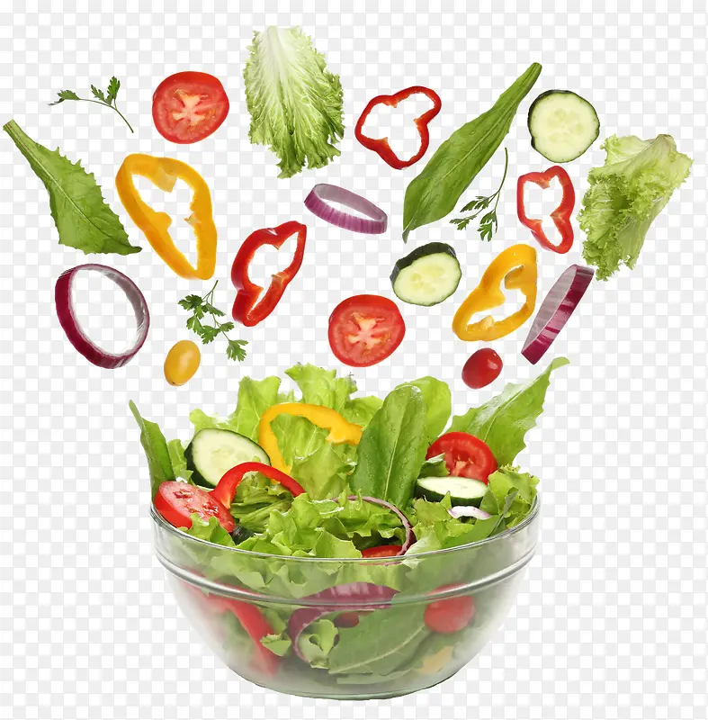 �߲˶�̬ɳ��-������