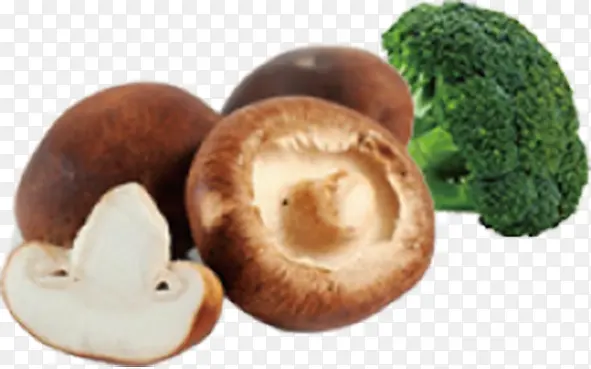 �㹽�߲�001-������