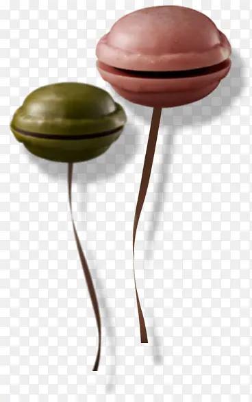 �����ɫ������ʳ-������