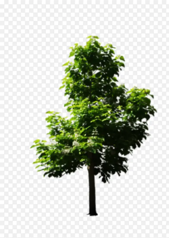 ��-������