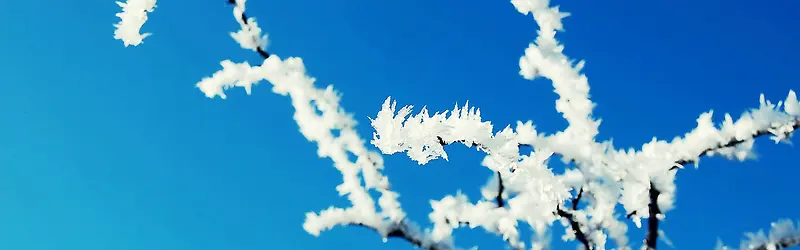 ����-������