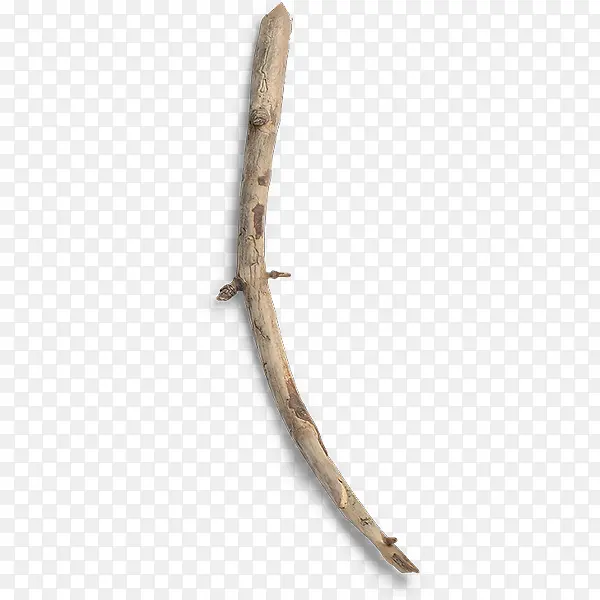 �ǷϿ���֦-������