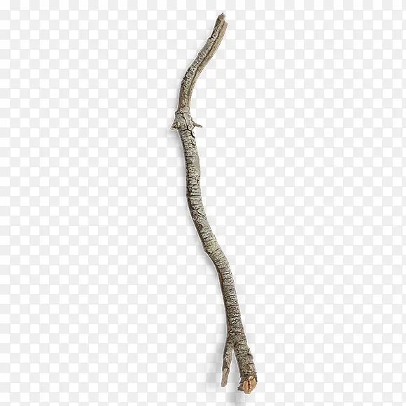 �ǷϿ���֦-������