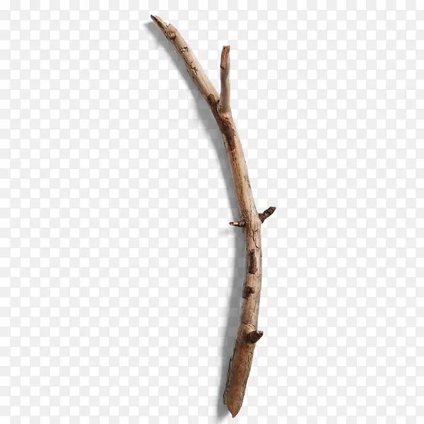 �ǷϿ���֦-������