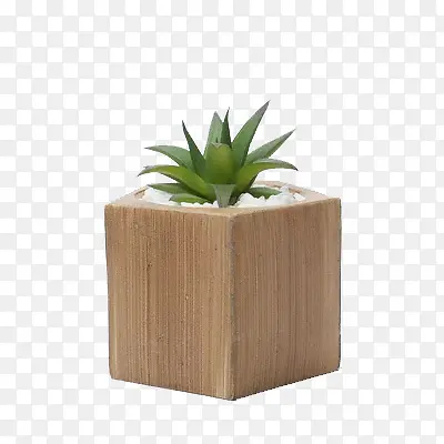 �Ҿӣ�ֲ��ݣ���-������