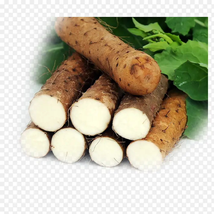 ��Ʒʵ��ɽҩ-������