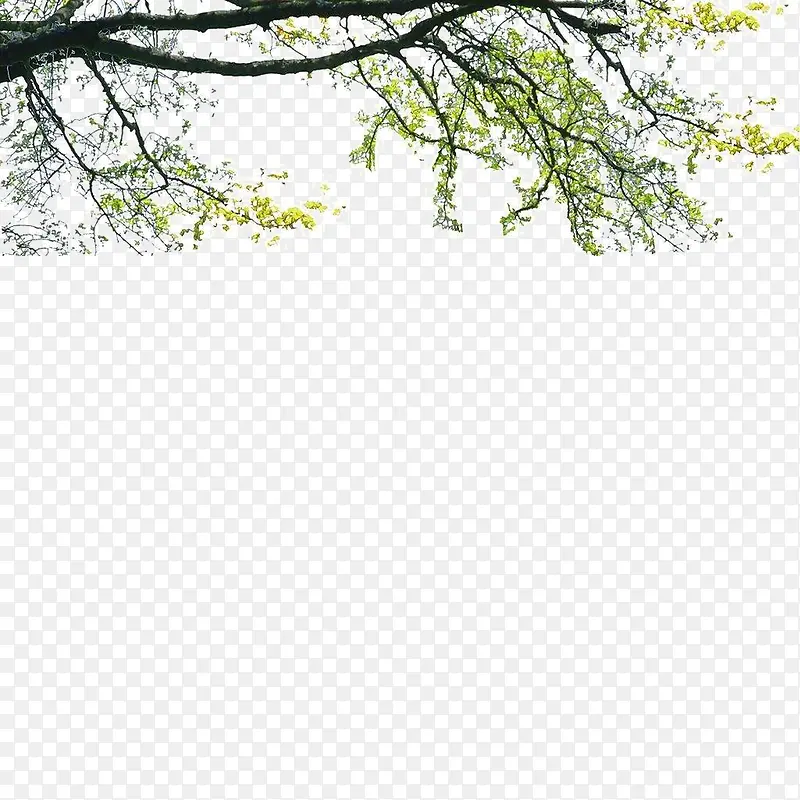 ����ǰ����-������