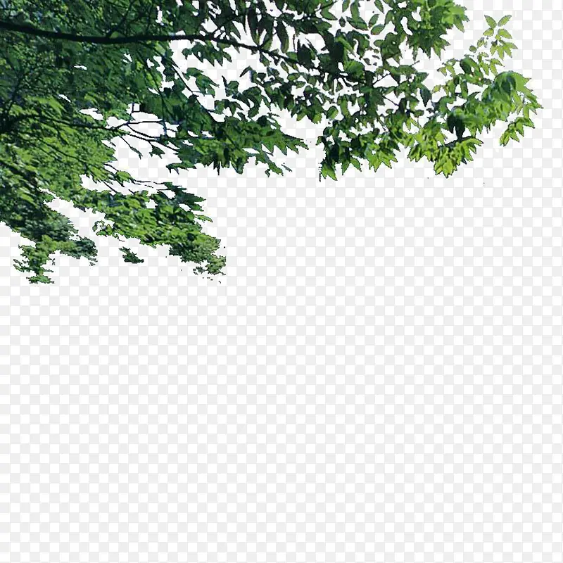 ����ǰ����-������