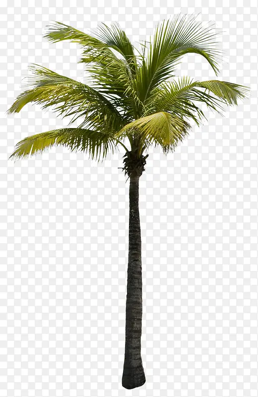 ������-������