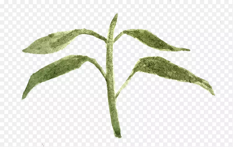 ˮ�ʻ�ƽ�����ʦ��ͼ-Ҷˮ�ʻ�-������