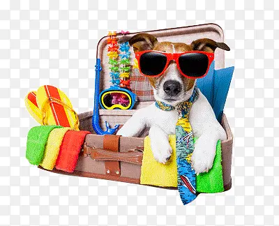 ������Ӱ�������й���-������