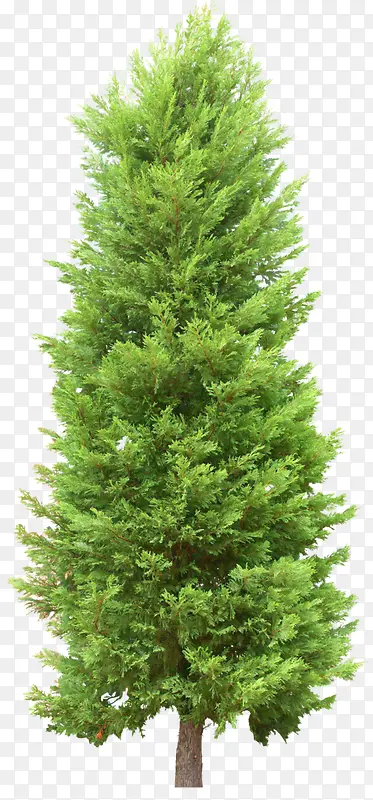 ��������ɫ��-������