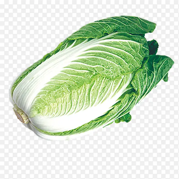 �ײ� �߲�-������