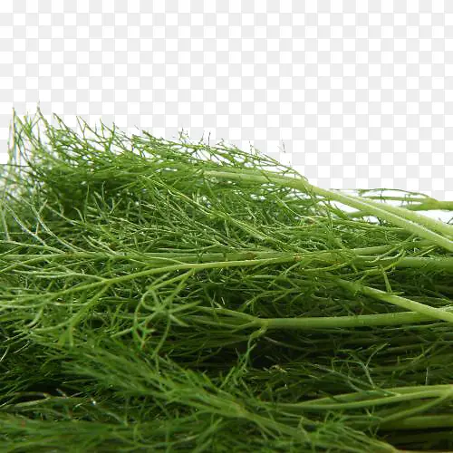 �߲�����-������