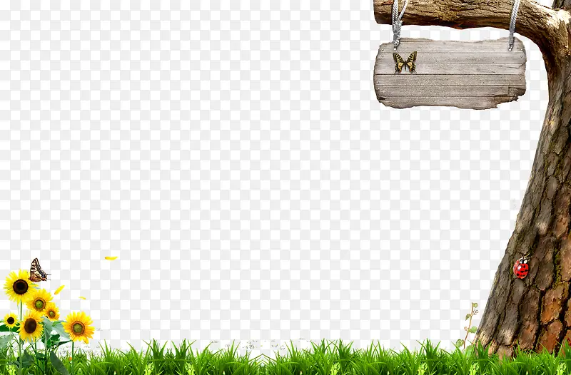 ��   ��  ��-������