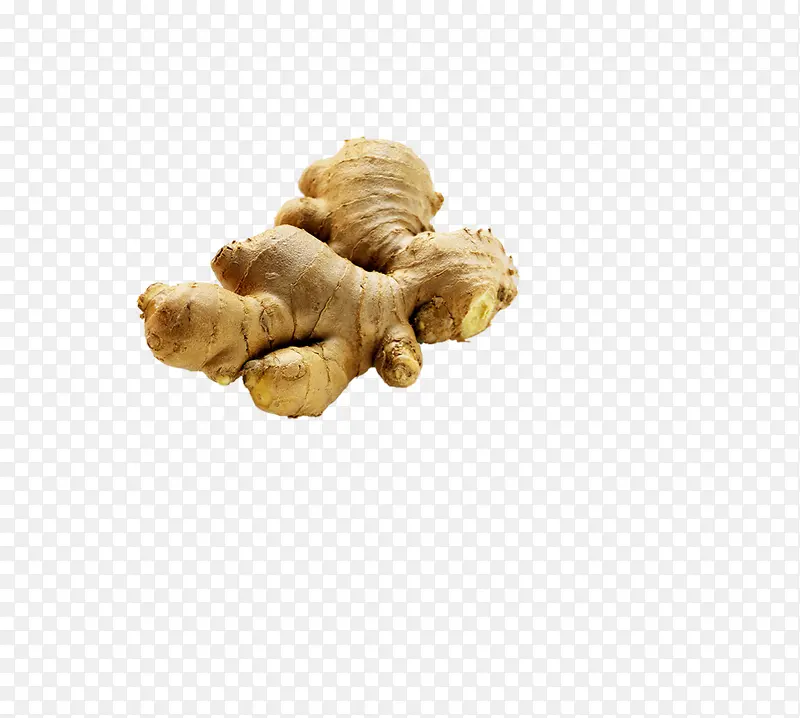 ʳ��-������