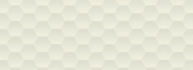 ���ӱ���-������