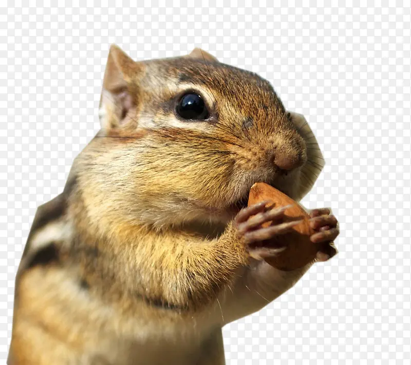 ���� ���� �ɰ�-������