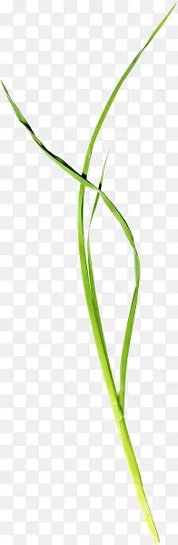 ����ɫ��װ��-������