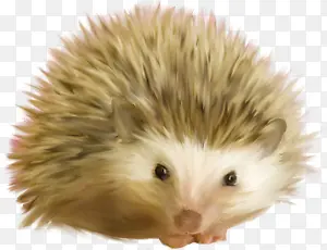 ������Ӱ�ɰ��Ĵ��-������