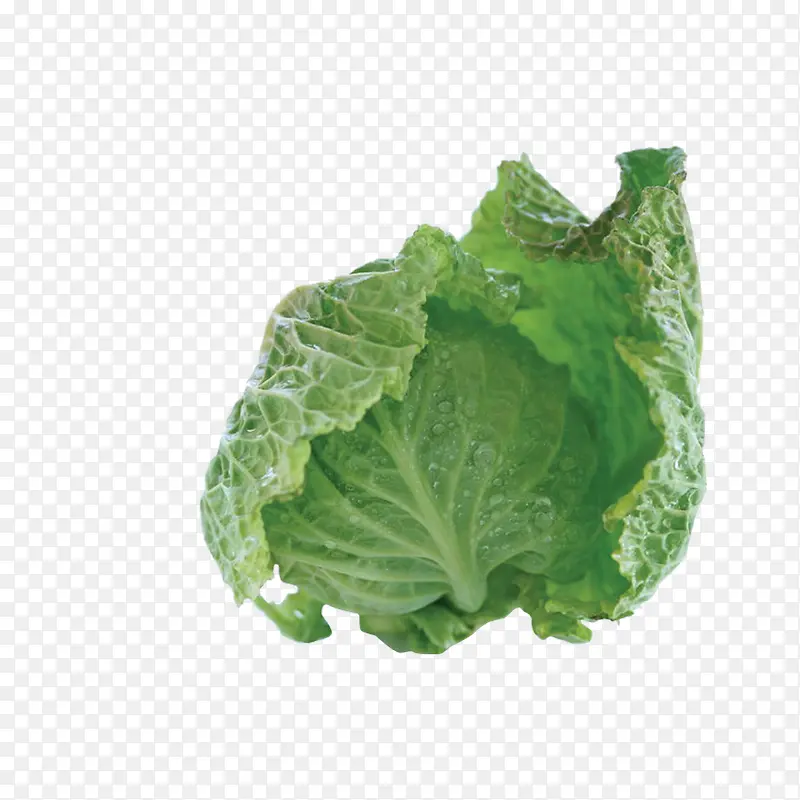 ��Ҷ-������