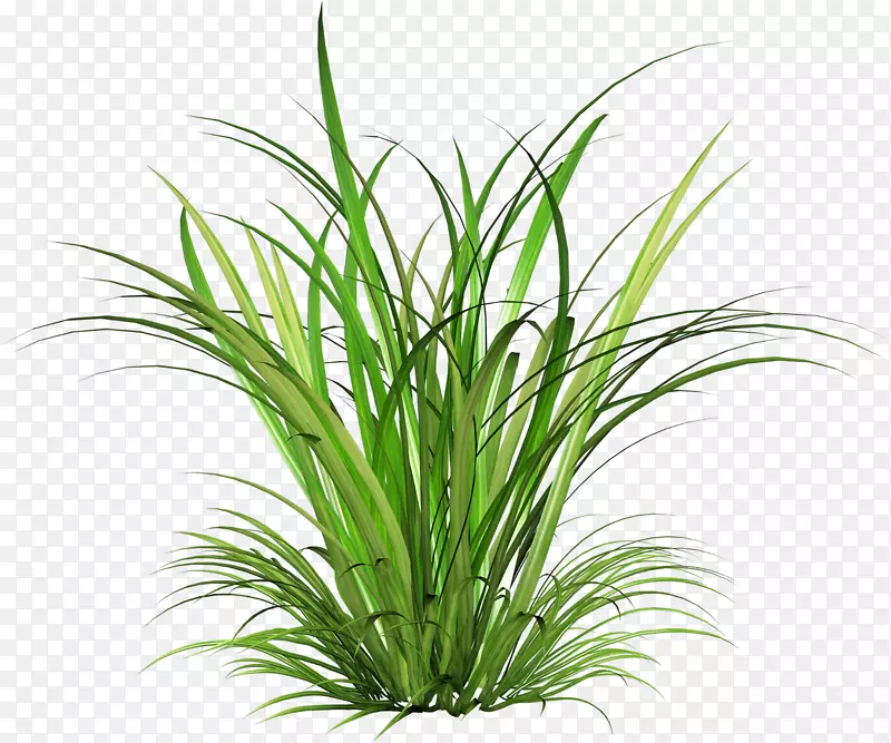 ���ؼ�����-����-������