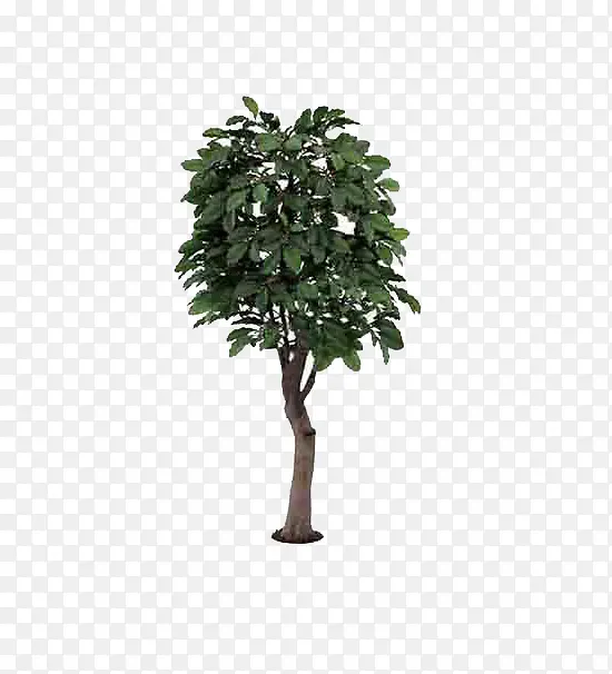 �ɿÿ�����-������