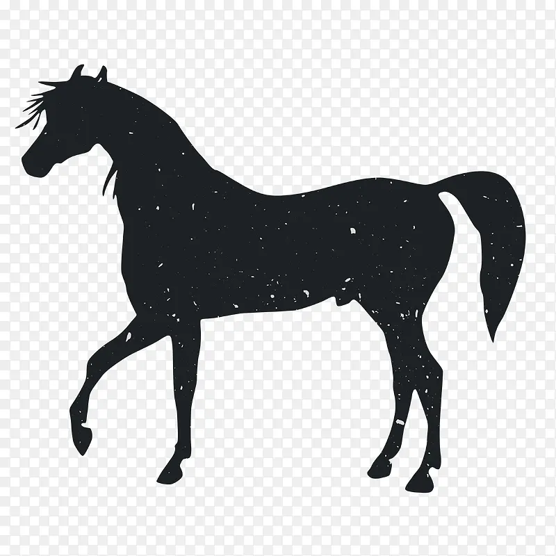 �����Ӱ-������