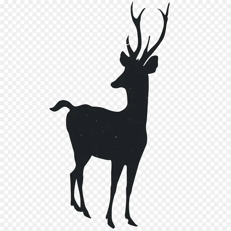 �����Ӱ-������