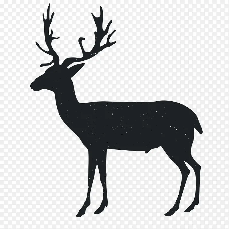 �����Ӱ-������