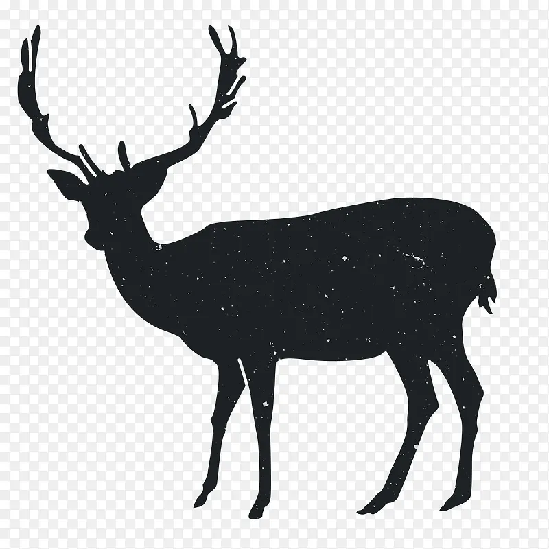 �����Ӱ-������