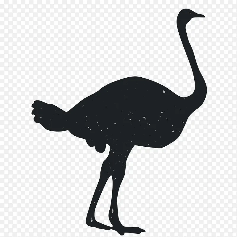 �����Ӱ-������